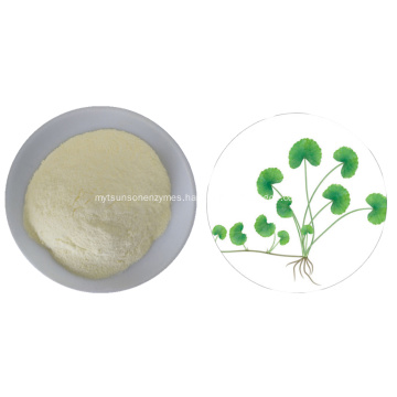 100% Natural water soluble Centella asiatica powder